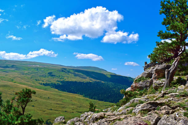 istock Picturesque mountains, meadows, green pines on the cliff side. 1195572507