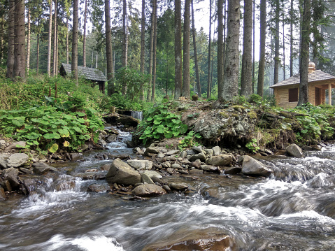 Wild nature in Ukrainian Carpathian. Mountain river trough the boulders