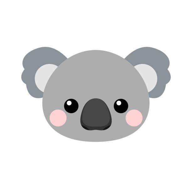 귀여운 코알라 얼굴입니다. 흰색 배경에서 격리된 벡터 그림 - koala stock illustrations