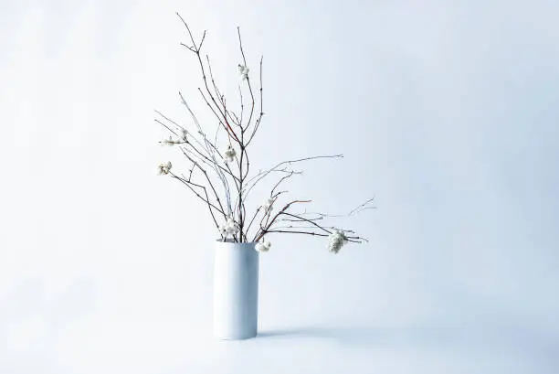 Branch of a bush of a snowberry in a vase on a white background. Ikebana.
