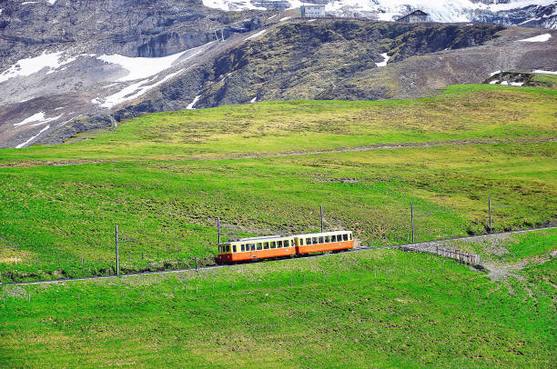 el tren a kleine scheidegg se mueve desde la estación jungfraujoch. - interlaken railroad station train rural scene fotografías e imágenes de stock