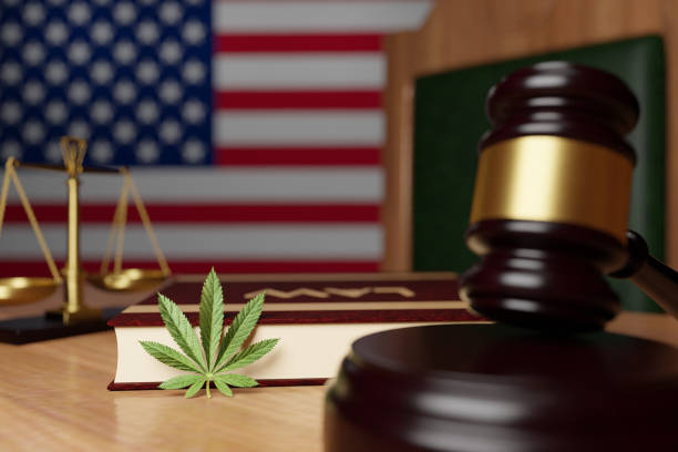 Legalization of cannabis in the United States, the hammer of the judge, the scales of justice, the book with the inscription Law and cannabis leaf lie on the desktop of the judge on the background Legalization of cannabis in the United States, the hammer of the judge, the scales of justice, the book with the inscription Law and cannabis leaf lie on the desktop of the judge on the background legalization photos stock pictures, royalty-free photos & images