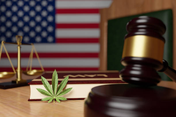 legalization of cannabis in the united states, the hammer of the judge, the scales of justice, the book with the inscription law and cannabis leaf lie on the desktop of the judge on the background - legalization imagens e fotografias de stock