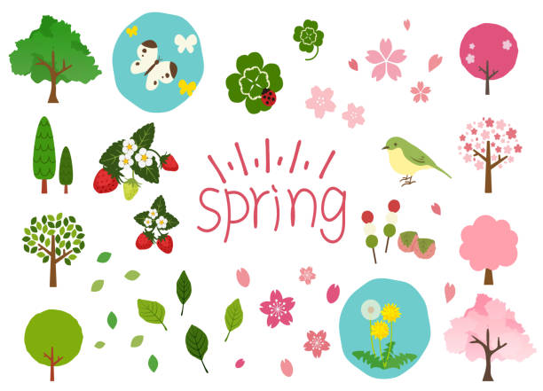 материальный набор милых весенних иллюстраций. - весна иллюстрации stock illustrations