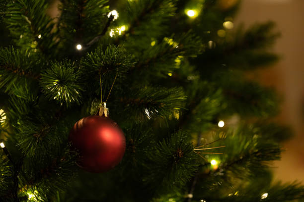 istock Christmas decoration hanging on Pine Christmas tree 1195583787