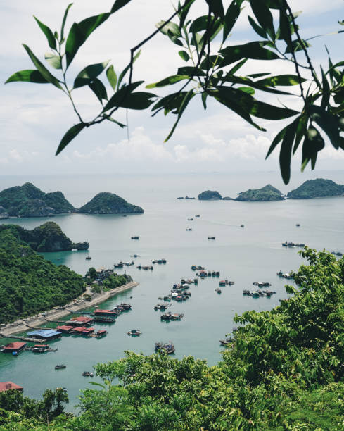 istock Amazing view over the Ha Long Bay 1195590363