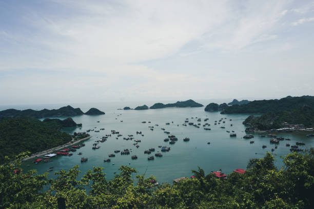 istock Stunning view over the Ha Long Bay 1195590417