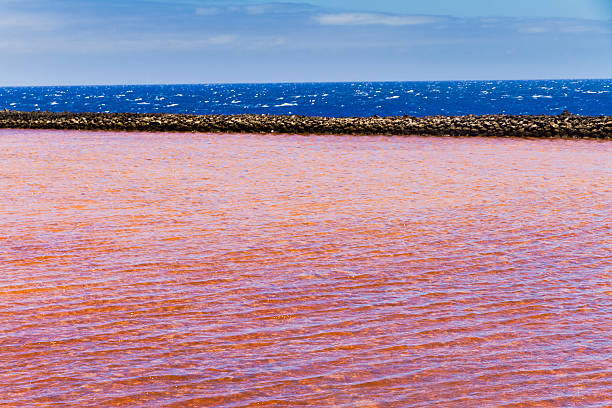 istock Salt Evaporation Pond, Fuencaliente, La Palma 119559135