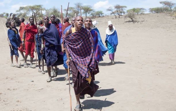 masajowie tańczą tanzanię - masai africa dancing african culture zdjęcia i obrazy z banku zdjęć