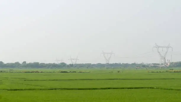 Electrical and renewable energy High voltage Tower power transmission line in green rural agricultural field environment. Impact of Industrial Technology in Agriculture background concept. Copy Space