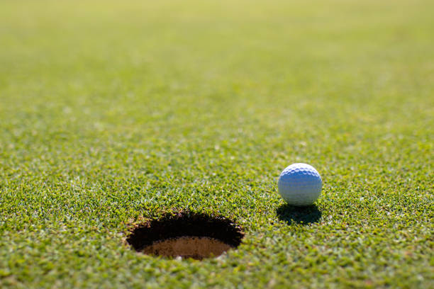 istock Golf club and ball in grass. 1195593726