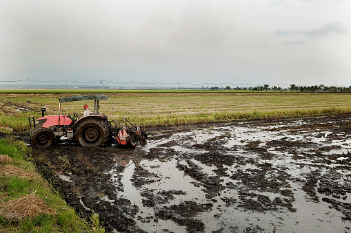 A drone view on agriculture machinery after plowing work at paddy field, Malaysia.