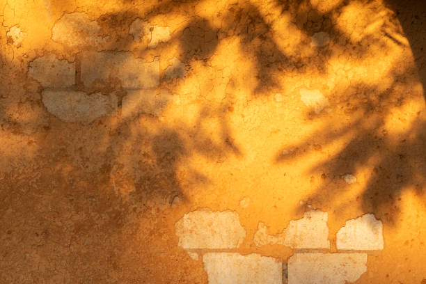 istock old soil covered cement block as a vintage background 1195597482