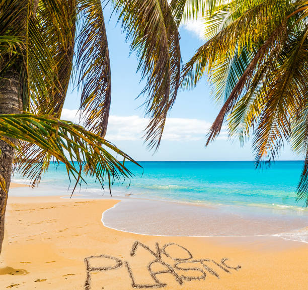 istock No Plastic written on a beautiful beach under palms 1195599294