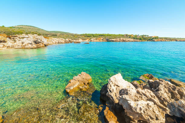 istock Rocks and blue sea in Alghero shore 1195599990