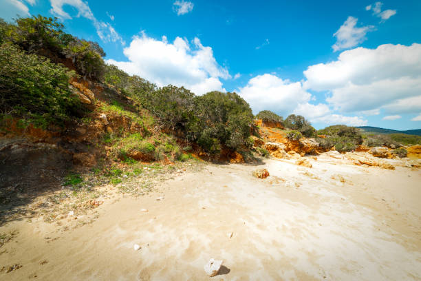istock White sand and rocks in Alghero shore 1195600872