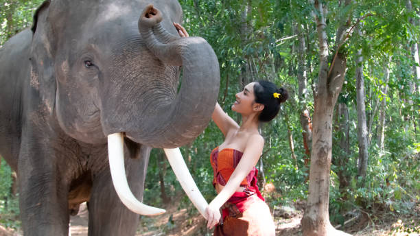 istock Woman Standing By Elephant Against Trees 1195600985