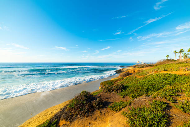 istock Rocks and sand in La Jolla beach 1195601423