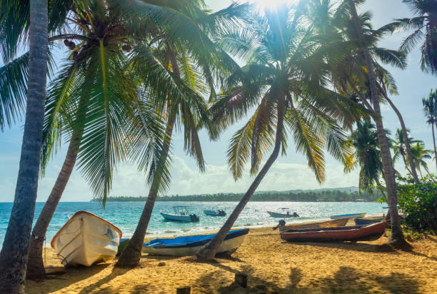 Pueblo de los pescadores, Las Terrenas in Dominican Republic. Fishermen's boats lying on sand. Beach with coconut palm trees. Sunny day.
