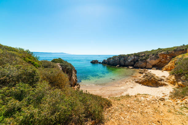 istock Mediterranean scrub by a small cove in Alghero shore 1195602648
