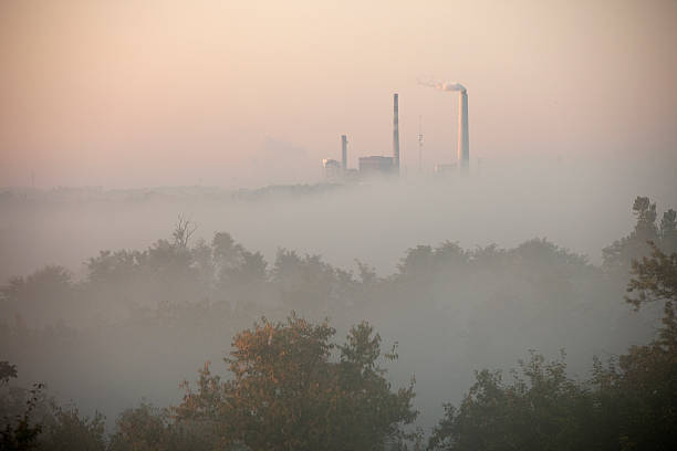 powerplant smokestacks no carvão, o nevoeiro matinal - foto de acervo