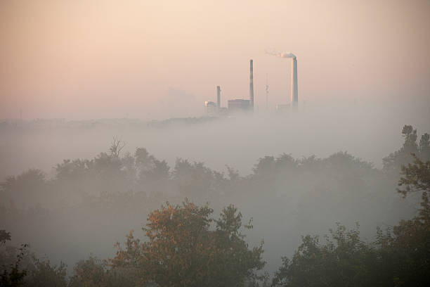 Cтоковое фото Coal fired powerplant smokestacks в утренний туман