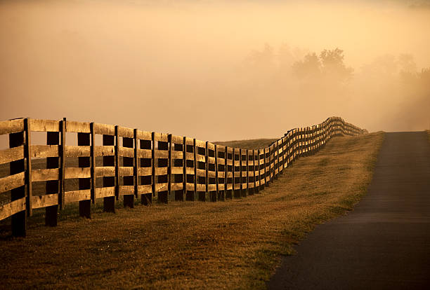 Farm muro ao nascer do sol com nevoeiro - foto de acervo