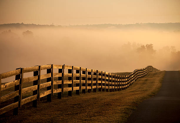 ファームフェンス、道路の日の出と霧 - bluegrass ストックフォトと画像
