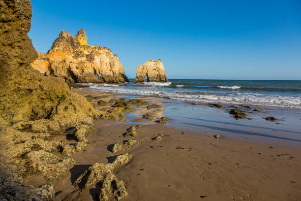 istock Rocky Portuguese Beach 1195606155