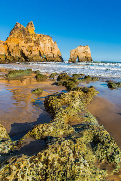 istock Rocky Portuguese Beach 1195606162
