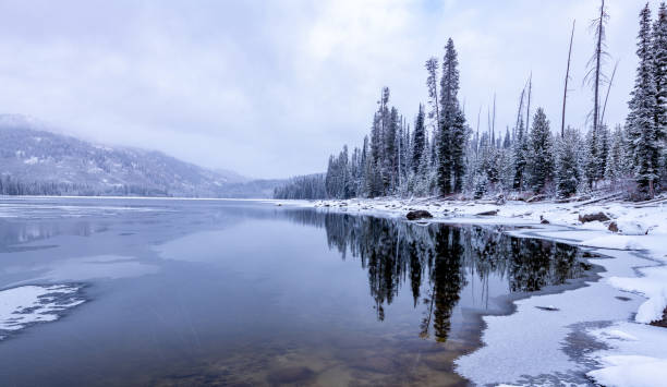 istock Winter forest reflection in a high mountain lake in Idaho 1195610081