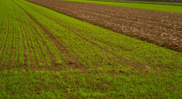 istock Diverent farming areas in Germany 1195613887