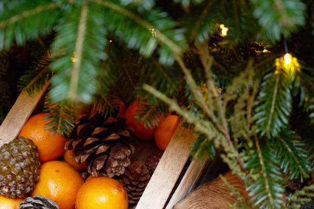 istock Oranges, tangerines and Christmas tree cones as New Year tree decoration 1195615234