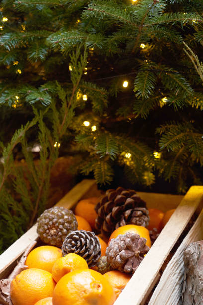 istock Oranges, tangerines and Christmas tree cones as New Year tree decoration 1195615277