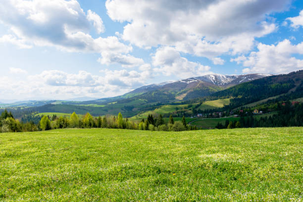 istock mountainous countryside landscape in spring 1195617706