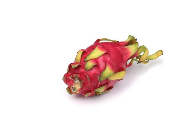 istock Pitahaia cacti produce isolated on white background 1195617755