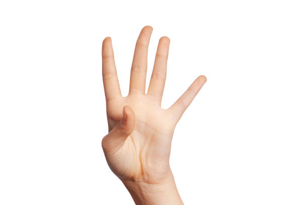 istock woman on white background is pointing at number four 1195618276