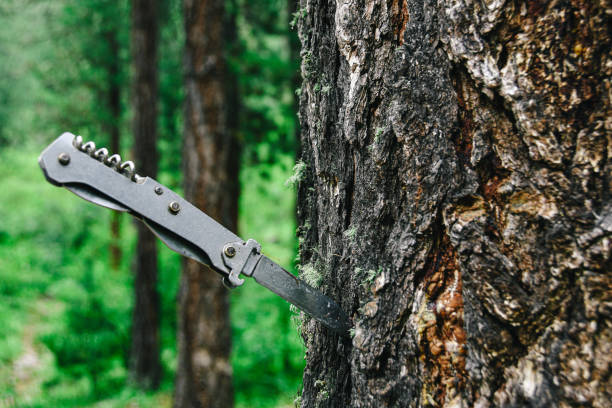 istock Metal tourist folding knife stuck in tree trunk 1195619322