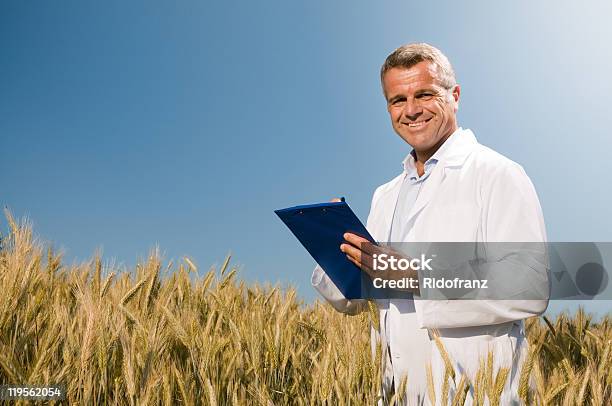 Пшеница Контроля Качества — стоковые фотографии и другие картинки Фермер - Фермер, Анализировать, Сельское хозяйство