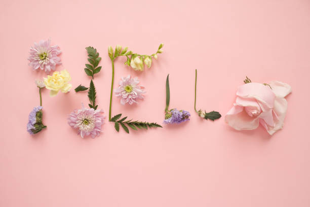 istock the inscription Hello, lined with different flowers 1195621119