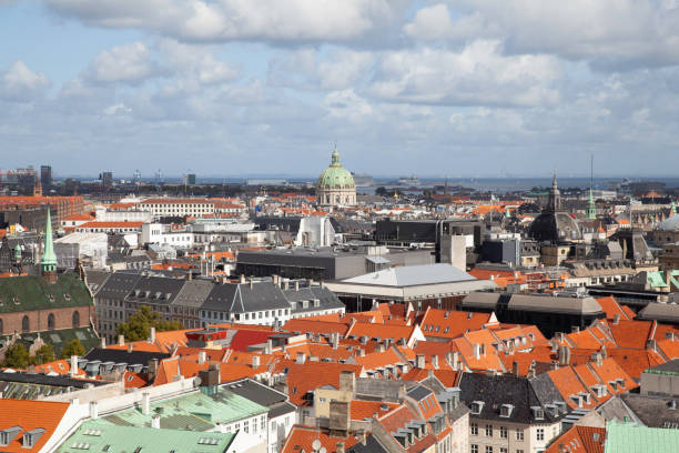 istock Copenhagen skyline with Frederik's Church 1195622564