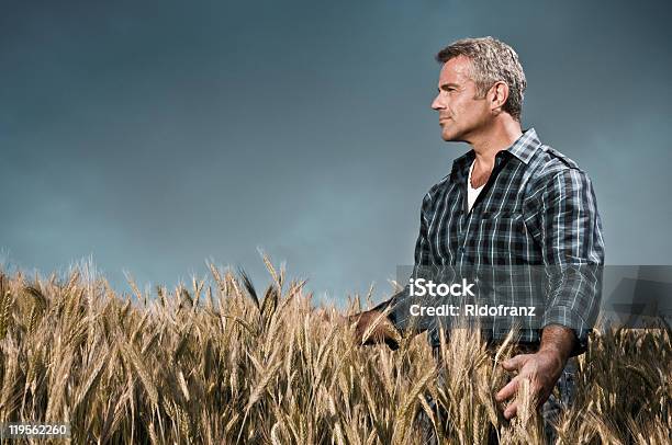 Landwirt Hat Pflege Sein Wheat Field Stockfoto und mehr Bilder von Bauernberuf - Bauernberuf, Männer, Feld