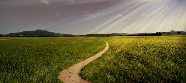 istock dirt road path panorama broad trail swinging sun summer 1195625178