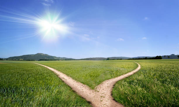 green direction forest lanes parting dirt road - decisions nature road street imagens e fotografias de stock