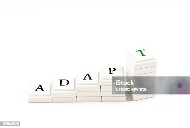 Adapt And Succeed Stock Photo - Download Image Now - Agility, Change, Business