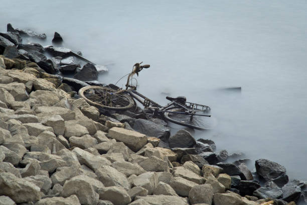 heap of oyster shells at the seaside