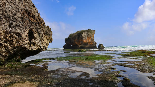 istock Big stone with beach icon at Ngrawe beach 1195635166
