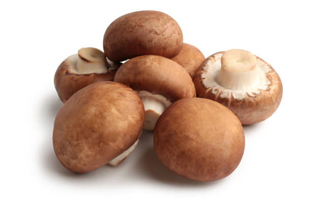 funghi freschi di agaricus bisporus o portobello - edible mushroom white mushroom isolated white foto e immagini stock