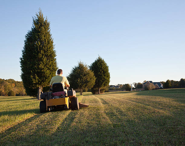 istock Senior mowing lawn 119563558