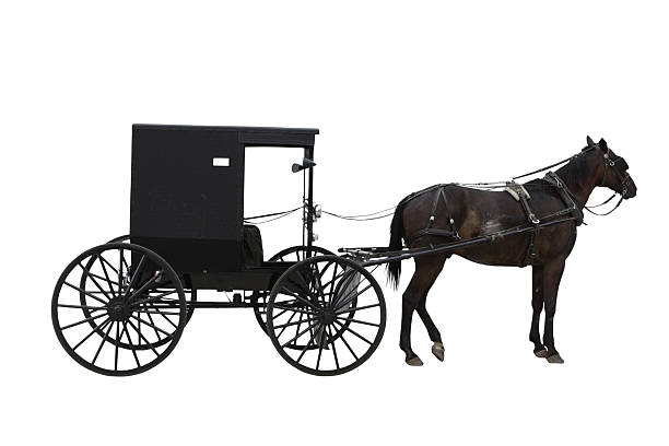 amish transport - pferdekarre stock-fotos und bilder